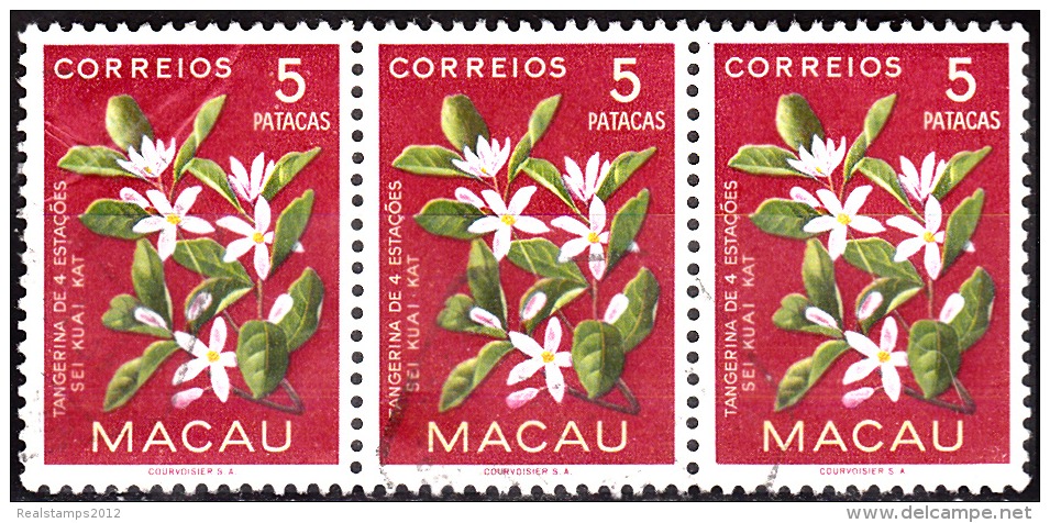 MACAU - 1953,  Flores De Macau,  5 P.   (TIRA)  D. 12   (o)  MUNDIFIL  Nº 383 - Gebruikt