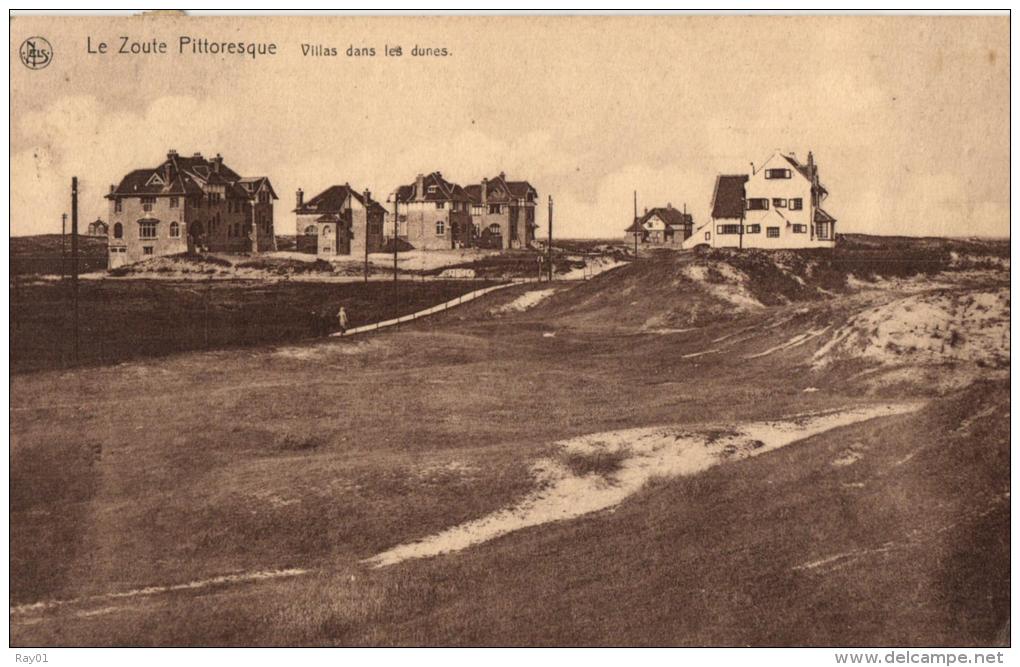 BELGIQUE - FLANDRE OCCIDENTALE - KNOCKE -  Le Zoute Pittoresque - Villas Dans Les Dunes. - Knokke