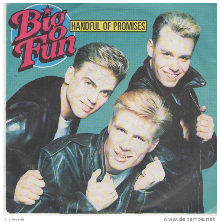 Big Fun  : Handful Of Promisis   / Catch A Broken Heart  - Jive Records 43589 - Disco, Pop