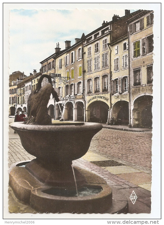 88 Vosges - Remiremont - Hotel Du Cheval De Bronze Halle Librairie Solex , Fontaine Et Grande Rue - Remiremont