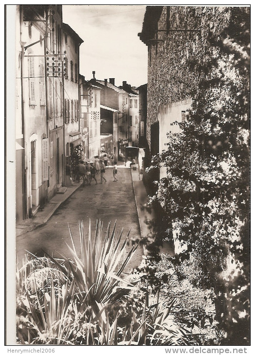 Var - 83 - Bormes Les Mimosas La Rue Carnot Animée Ed Photo Janz Du Pradet - Bormes-les-Mimosas