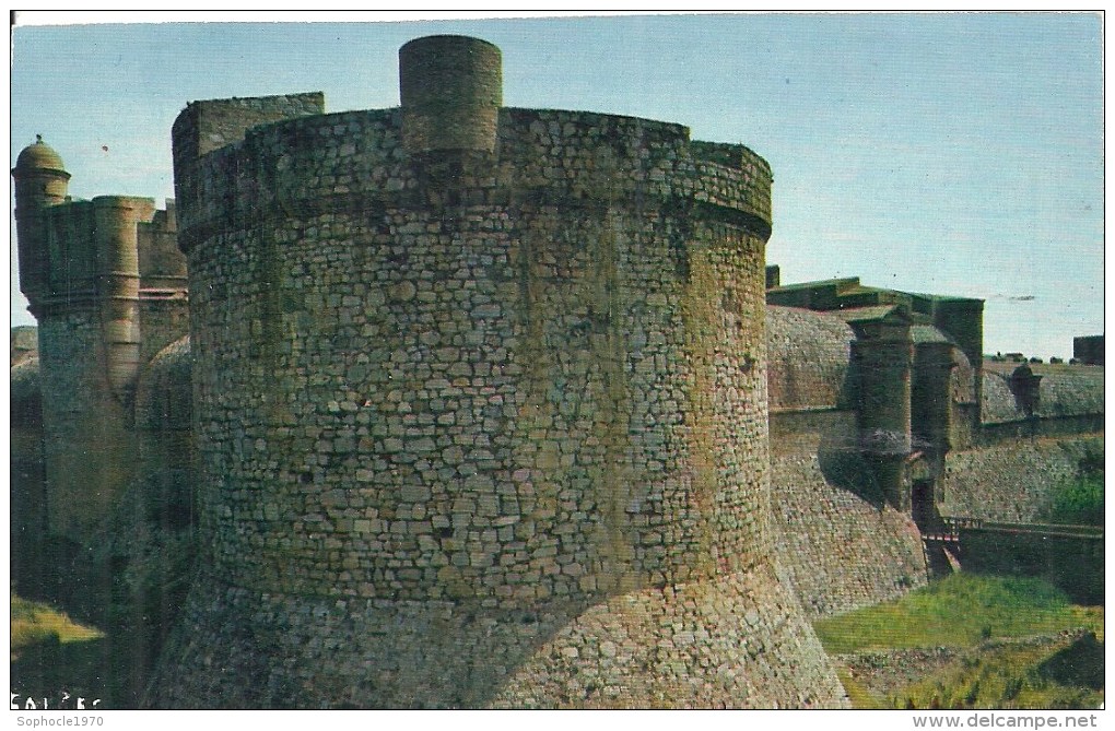 LANGUEDOC ROUSSILLON - 66 - PYRENEES ORIENTALES -SALSES - Château Fort - CPSM PF Couleur Carte Retaillée - Salses