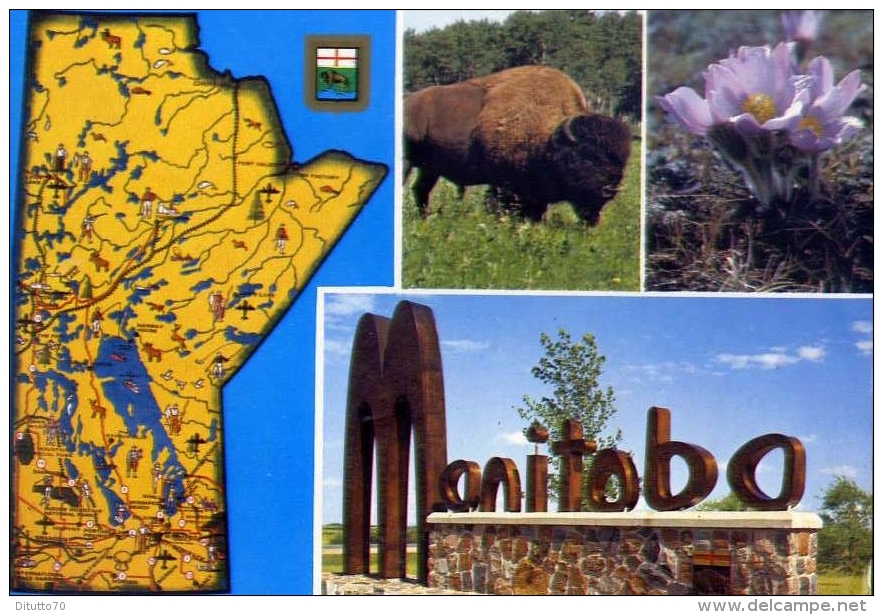 Manitoba - Canada - 52 - Formato Grande Viaggiata - Autres & Non Classés