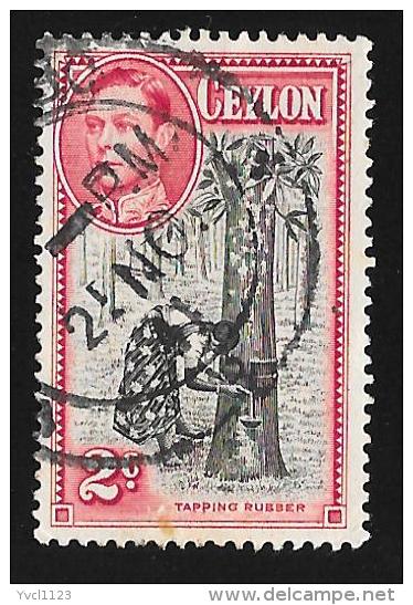 CEYLON - Scott #278 Tapping Rubber Tree Perf. 11x11½ (*)  / Used Stamp - Ceylon (...-1947)