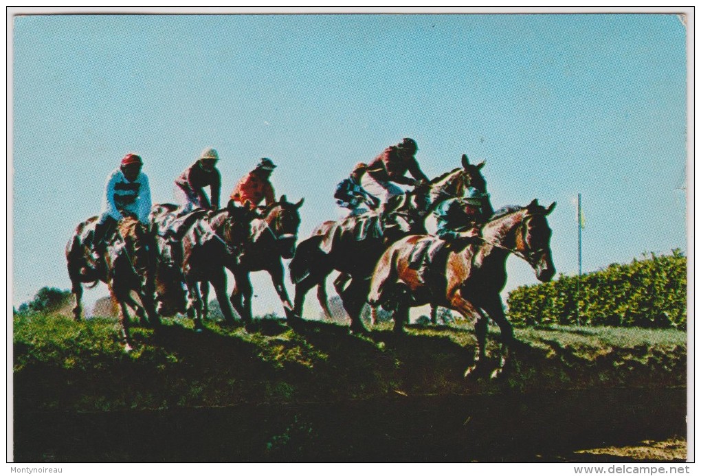 Animaux :  Chevaux  De  Courses ,  CRAON  , Mayenne   1988   Hippodrome - Chevaux