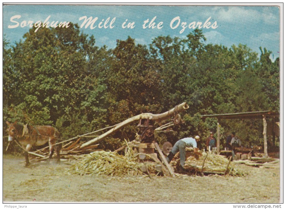 Sorghum Mill In The Ozarks - Paysans