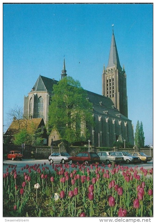 NL.- Venray. Sint Petrus' Bandenkerk - Grote Kerk . 2 Scans. Tulpen. Oude Auto's - Venray