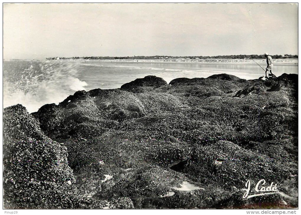 SAINT BREVIN        LES MOULIERES   PECHEUR - Saint-Brevin-l'Océan