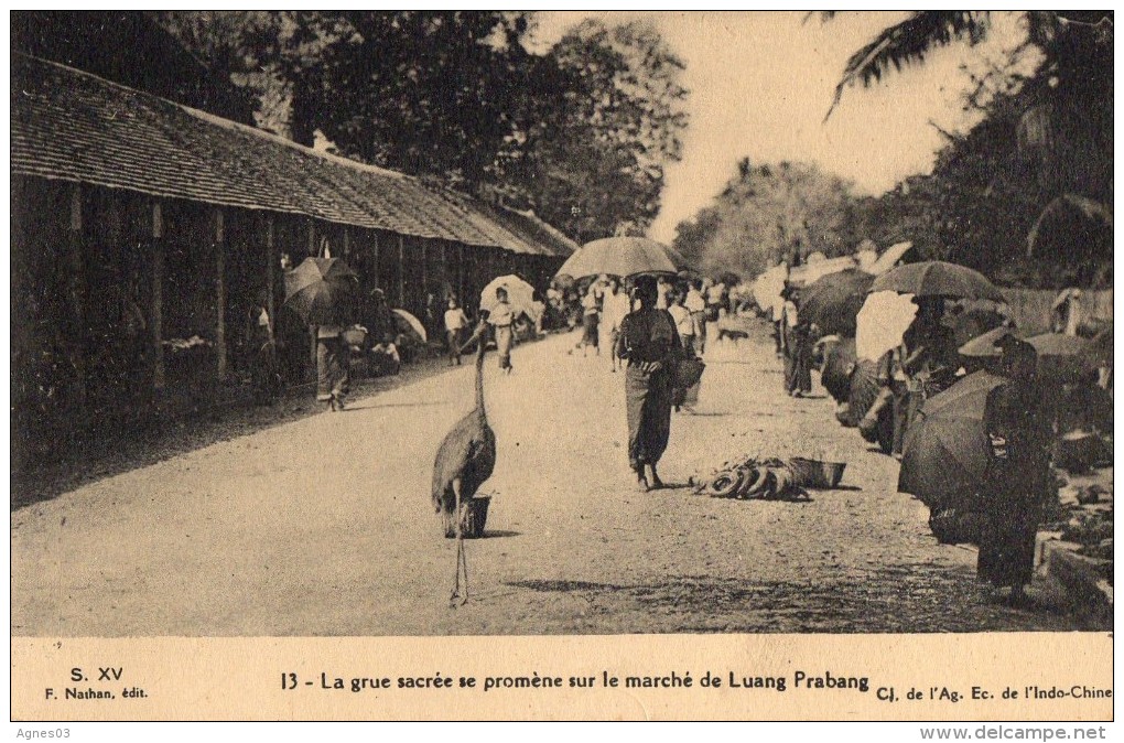 Marche De LUANG  PRABANG   Grue Sacree - Laos