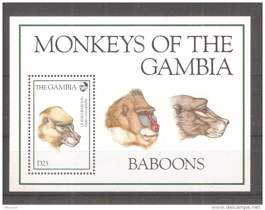 Hb-233 Gambia - Chimpanzés