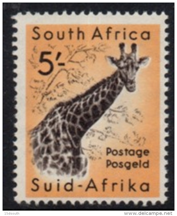 South Africa - 1959-1960 Animals 5s Giraffe (**) # SG 177 , Mi 266 - Ungebraucht