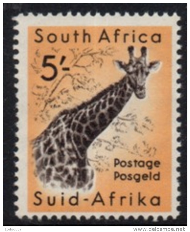 South Africa - 1959-1960 Animals 5s Giraffe (**) # SG 177 , Mi 266 - Ongebruikt