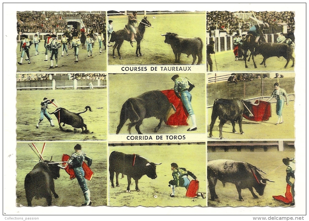 Cp, Corrida, Multi-Vues - Corridas