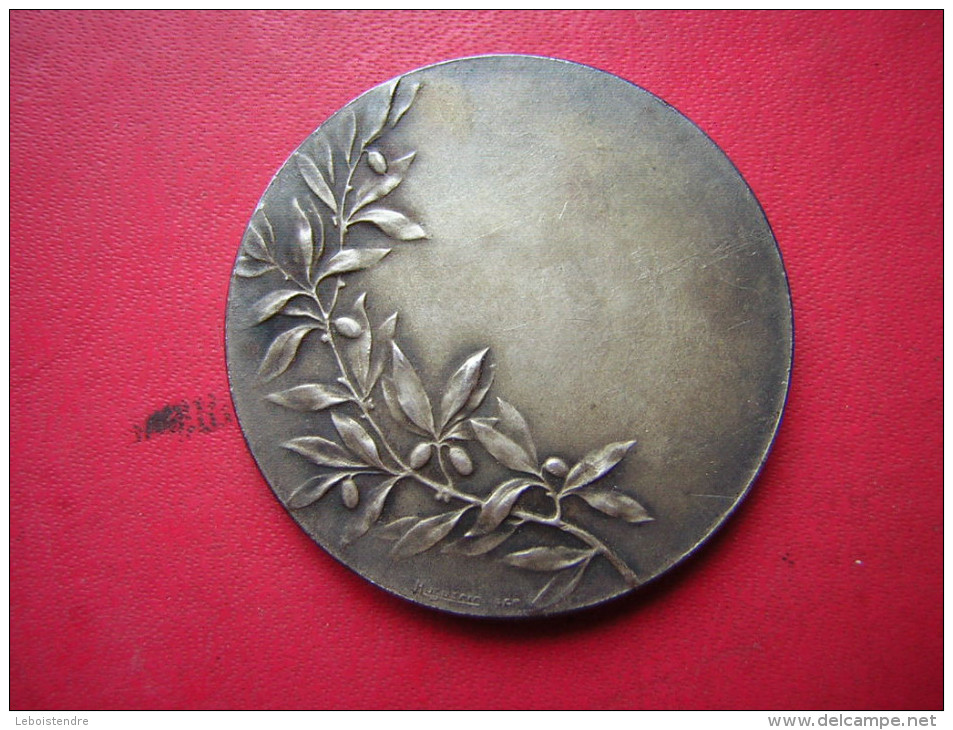 BELLE MEDAILLE  BRONZE MILITAIRE / MILITARIA   ???  PATRIA - Other & Unclassified