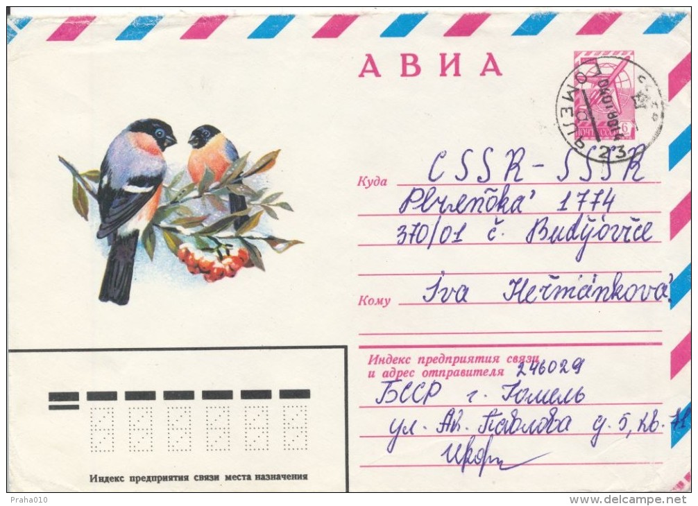 I9558 - USSR / Postal Stationery (1980) Gomel (air Mail - Letter) - Spechten En Klimvogels