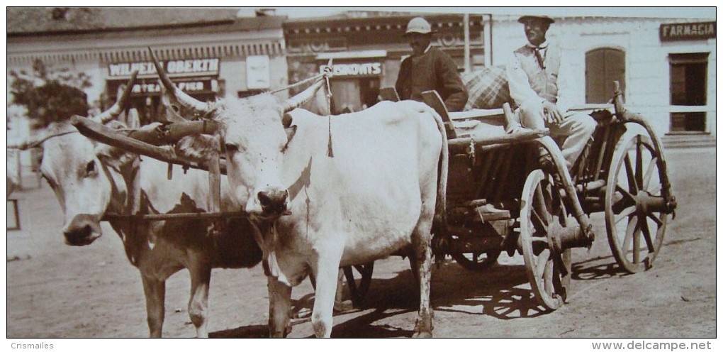 MEDIAS 1910 Farmacie, Tarani Spre TARG, Pravalii Wilhelm OBERTH, ISKOVITZ, Judaica - Romania