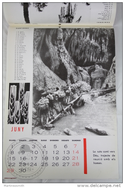 Vintage 1964 Big Wall Calendar - Boy Scouts Of Catalonya/ Spain - Scouting - 24 X 34 Cm - Grossformat : 1961-70