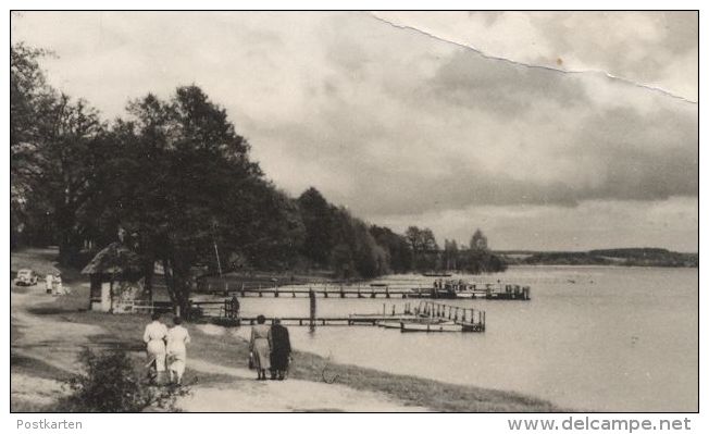 ÄLTERE POSTKARTE PLAU AM SEGLERHEIM BLICK ZUR KIRCHE AM KANAL SEELUST MECKLENBURG WAPPEN Ansichtskarte AK Cpa Postcard - Plau