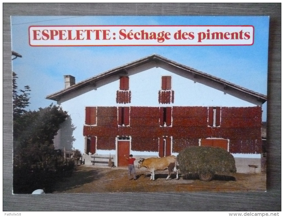 ESPELETTE  (64). LOT DE 4 CPM.   ANNEES 1970.VOITURE A BOEUF.PIMENTS. - Espelette