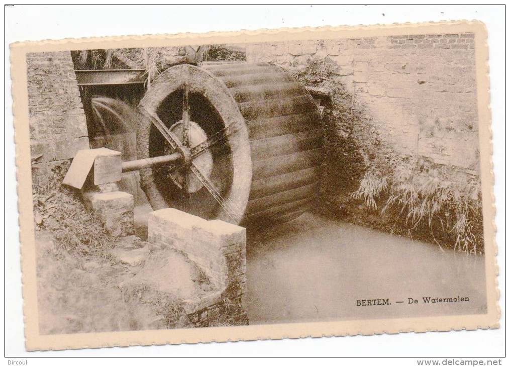 30190  -   Bertem  De  Watermolen - Bertem