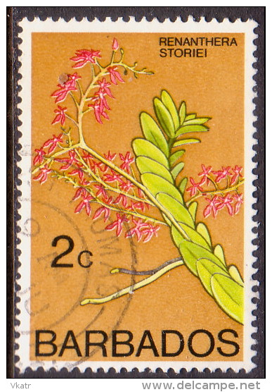 BARBADOS 1975 SG #511 2c VF Used Orchids - Barbados (1966-...)