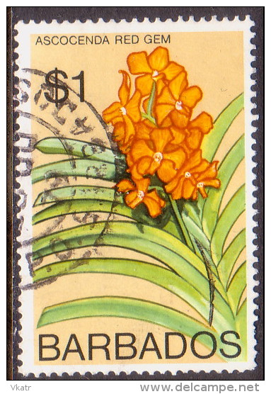 BARBADOS 1976 SG #551 $1 VF Used Orchids - Barbados (1966-...)