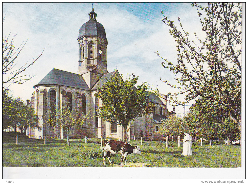 JUAYE-MONDAYE  (14-Calvados), Abbaye, Ordre De Prémontré, Le Chevet, Moine, Vache, Ed. Le Goubey - Autres & Non Classés