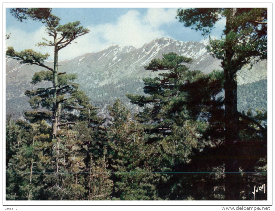 (3333 ORL) France - Corsica Porto Tower - Monuments