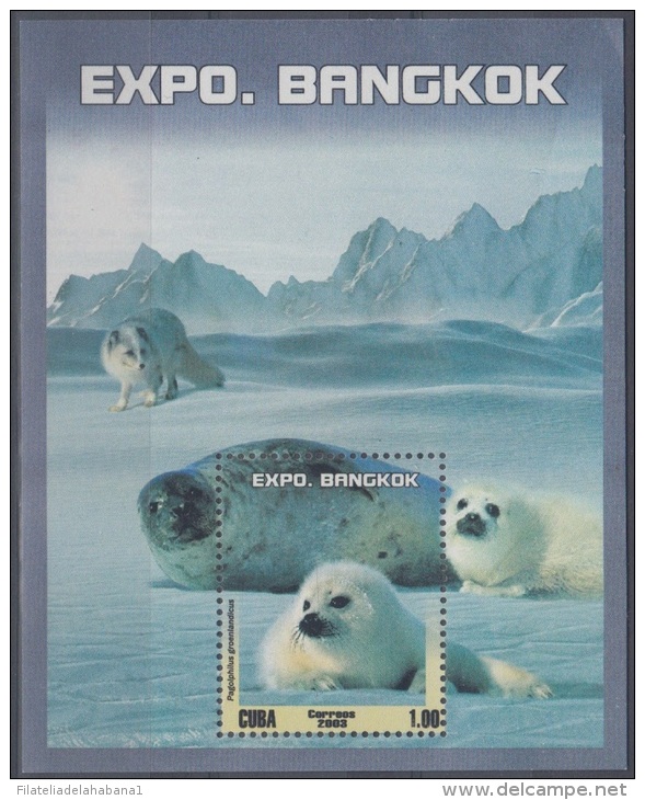 2003.55- * CUBA 2003. MNH. SPAECIAL SHEET. EXPO BANGKOK. THAILAND. FAUNA POLAR. FOCAS. - Neufs