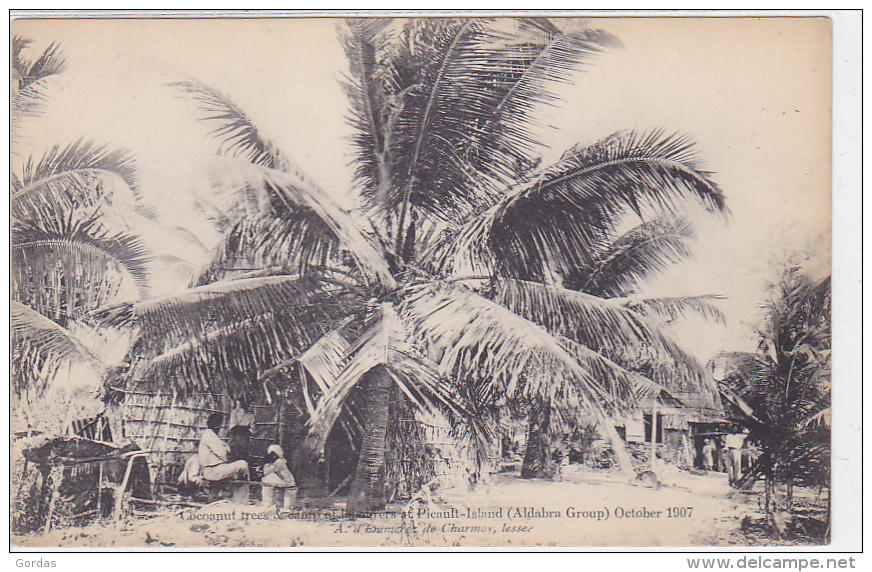 Seychelles - Aldabra Group - Picault-Island - 1907 - Seychellen