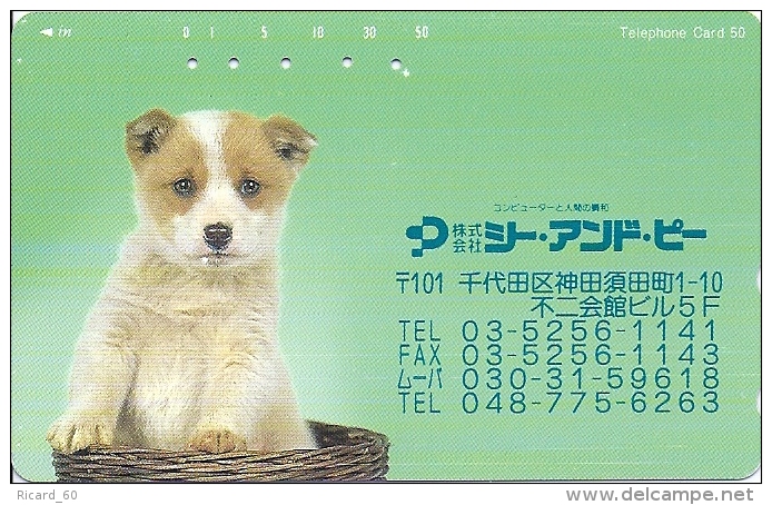 CHIENS 6 Télécartes du Japon 