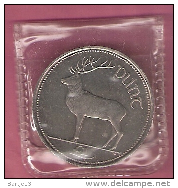 IERLAND 1 POUND 2000 UNC. DEER - Irland