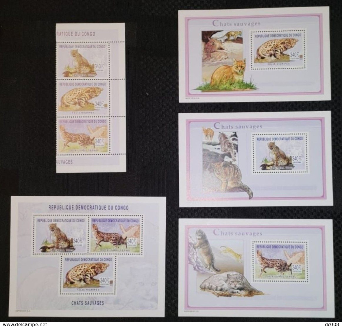 COB 2154/56+BL249/51+BL252 Wild Cats 2003 MNH - Mint/hinged