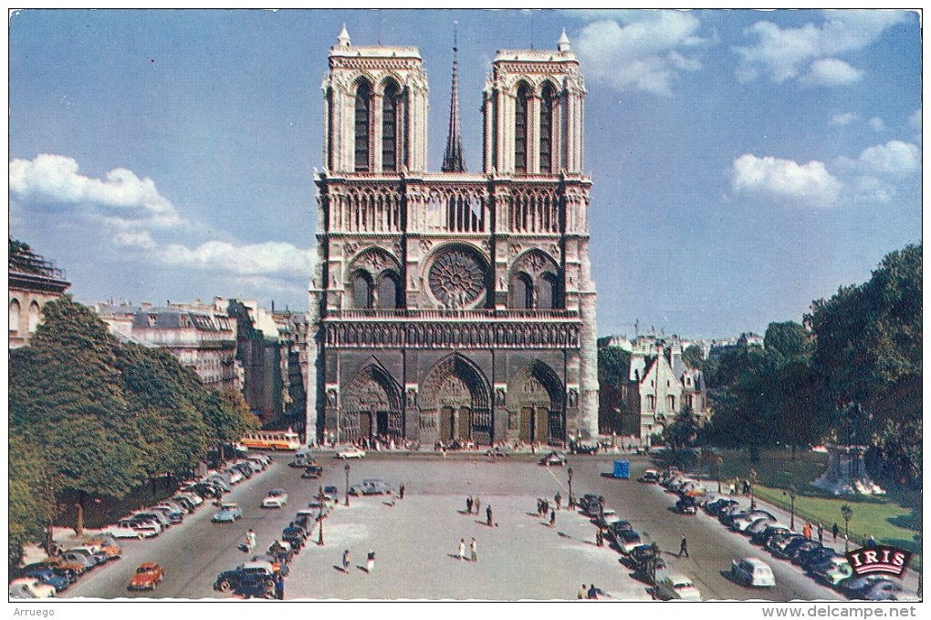 FRANCE. POSTCARD. PARIS. NOTRE DAME CATHEDRAL - Notre Dame De Paris