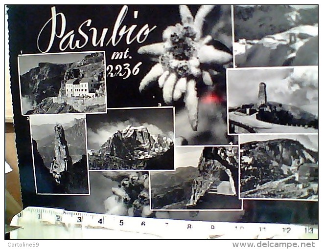 PASUBIO VEDUTE STELLE ALPINE  VB1963 ES14747 - Vicenza