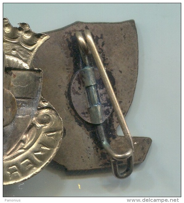 BAKKEVEEN - Holland Netherlands, Blason, Coat Of Arms, Vintage Pin Badge - Villes