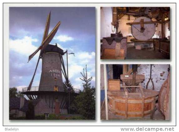 HAMONT / Hamont-Achel (Limburg) - Molen/moulin - De Napoleonsmolen Na De Jongste Restauratie (3 Impressies Op één Kaart) - Hamont-Achel