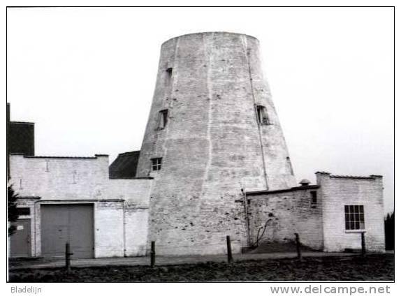 ASSE - Ter Heide (Vlaams-Brabant) - Molen/moulin - Stenen Romp Van De Molen Ter Heide In 1982 - Asse