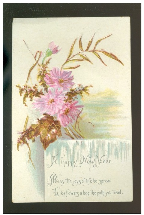 Chromo ( 3792 )  Zonder Reklame  Sans Publicité - Carte Mignonette Gaufrée - Happy New Year - Autres & Non Classés