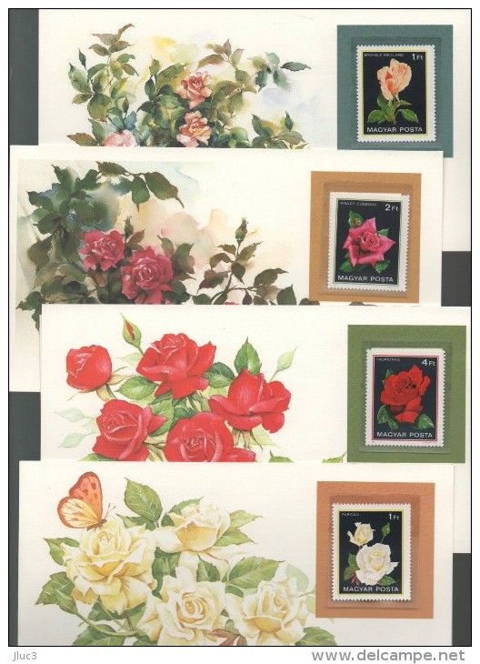 wThFleurs - RARE - FLEURS  du  Monde -107 CARTES POSTALES  Dans  Une  Boîte  Cartonnée  Originale  --  Très Belle Valeur