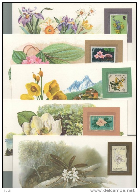 wThFleurs - RARE - FLEURS  du  Monde -107 CARTES POSTALES  Dans  Une  Boîte  Cartonnée  Originale  --  Très Belle Valeur