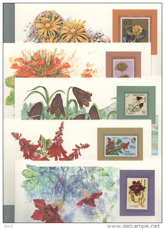 wThFleurs - RARE - FLEURS  du  Monde -107 CARTES POSTALES  Dans  Une  Boîte  Cartonnée  Originale  --  Très Belle Valeur