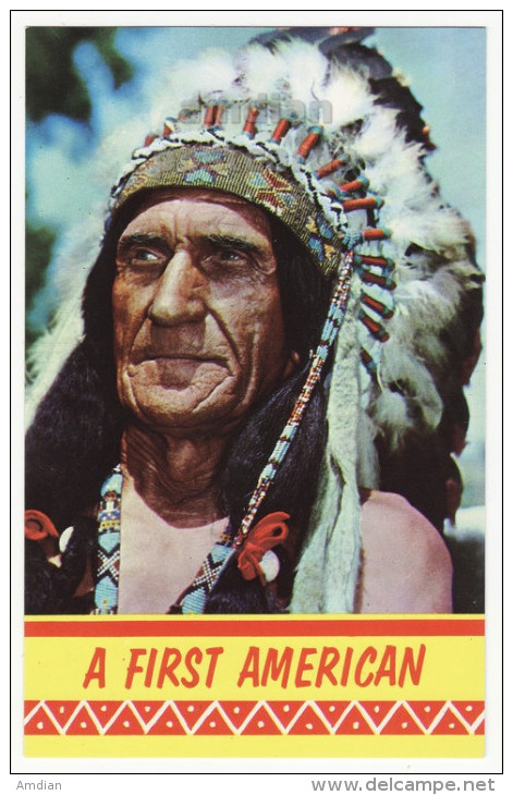 A FIRST AMERICAN ~ INDIAN CHIEF HEAD PORTRAIT ~c1960s Postcard ~NATIVE AMERICANA [5756] - Amérique