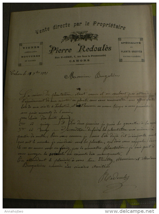 46 - Facture-tarif P. REDOULÈS ,CAHORS * VIGNES AMÉRICAINES,PLANTS GREFFÉS,BOUTURES...* - Agriculture