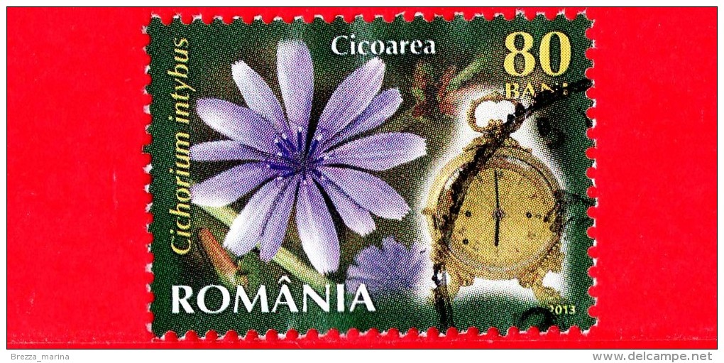 ROMANIA - Usato - 2013 - Fiori - Cicoria (Cichorium Inthybus) - Chicory - Orologio 6 A.m -  80 - Oblitérés