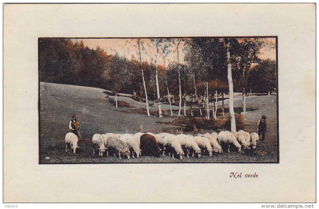 NEL VERDE Schafhirte, Ital.Künstlerkarte Um 1920 - Elevage