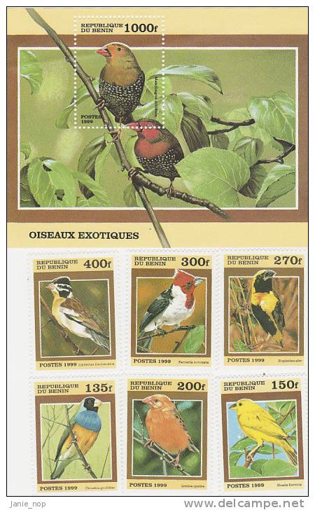 Benin-1999 Birds Set + Souvenir Sheet  MNH - Songbirds & Tree Dwellers