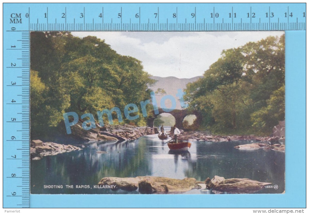 Ireland ( Killarney Shooting The Rapids ) Vintage Postcard By Valentine No 19551 -  )recto/Verso - Kerry