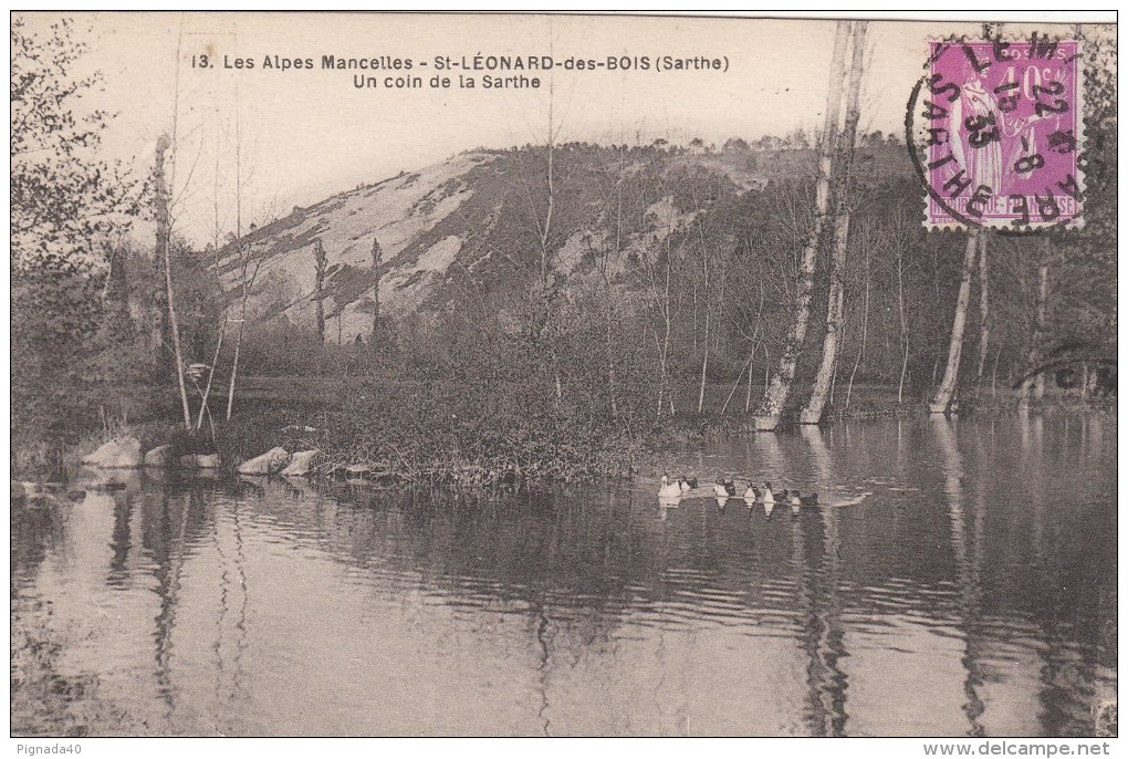 Cp , 72 , SAINT-LÉONARD-des-BOIS , Les Alpes Mancelles , Un Coin De La Sarthe - Saint Leonard Des Bois