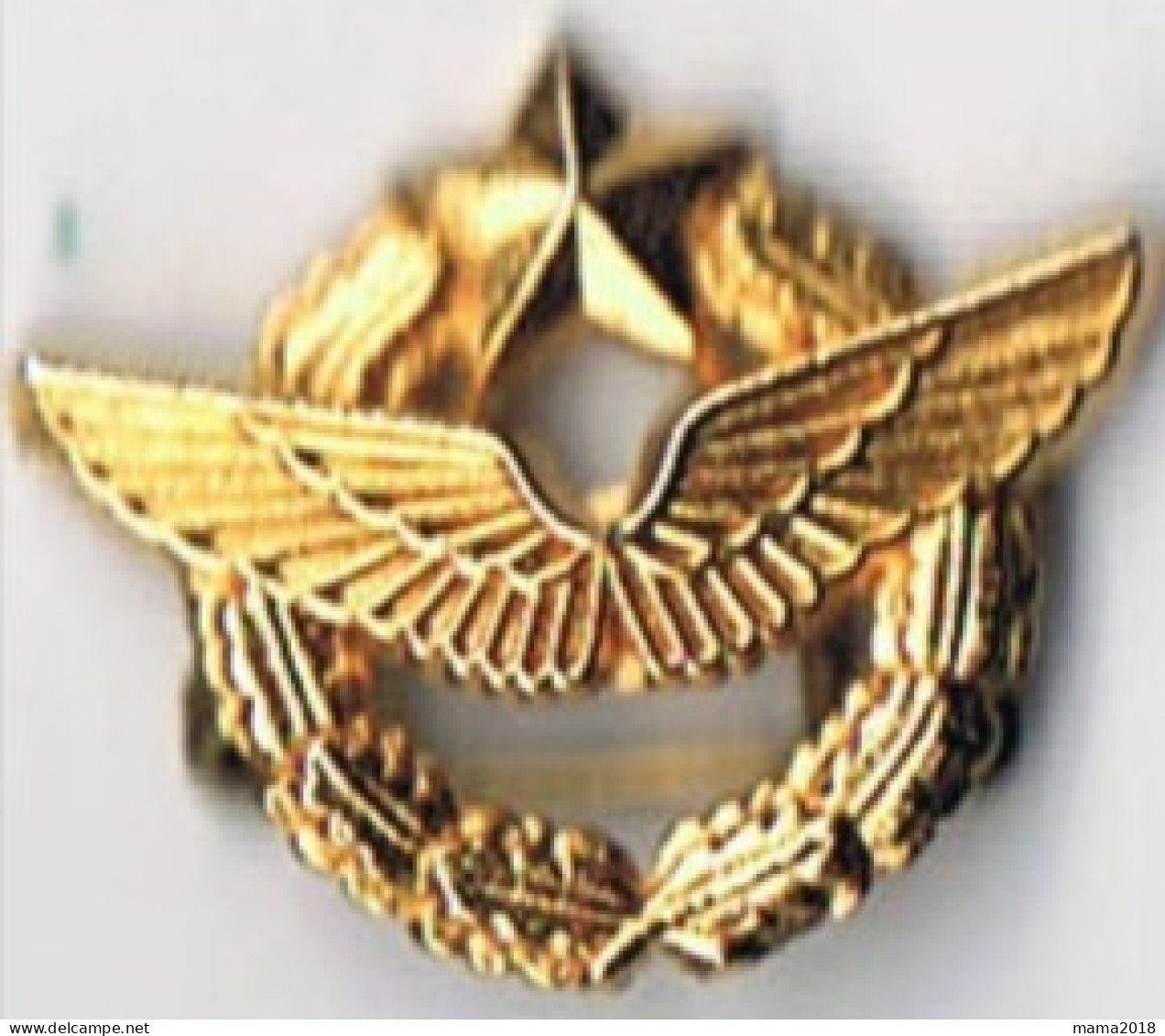 Insigne  Armée De L'air   Doré Or Fin - Armée De L'air